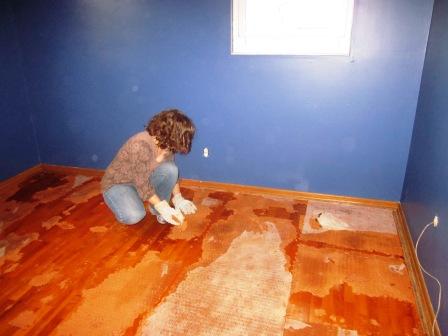 To Remove Carpet Padding From Hardwood, Removing Carpet Pad Glue From Hardwood Floor