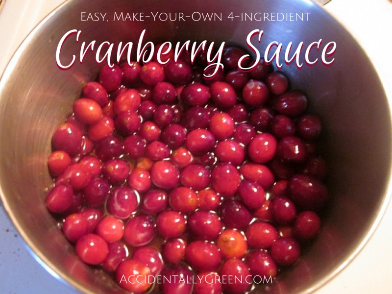 Make-Your-Own Cranberry Sauce {AccidentallyGreen.com}