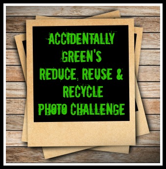 Accidentally Green's Photo Challenge