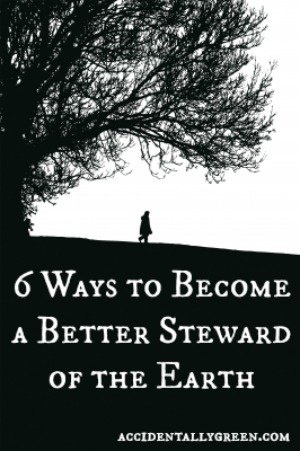 6 Ways to Become a Better Steward of the Earth