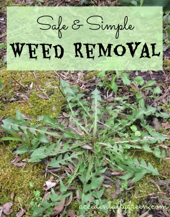 Safe and Simple Weed Removal