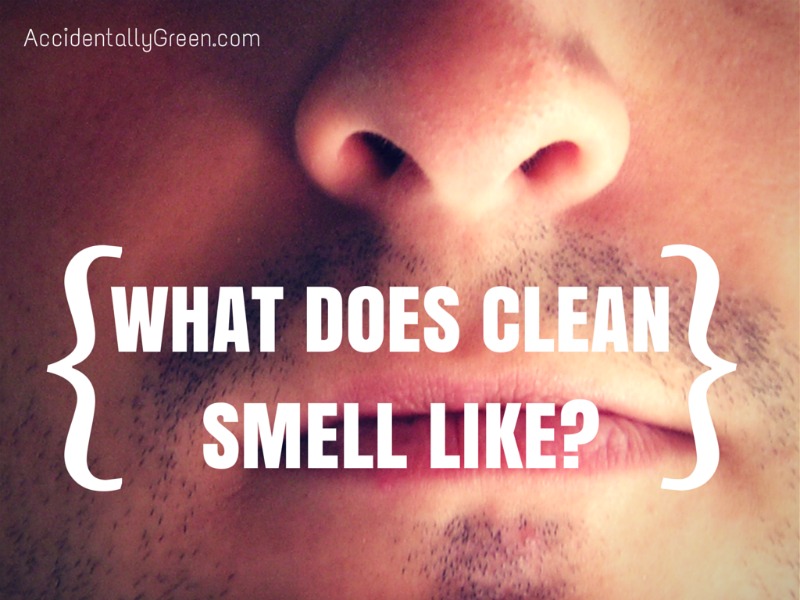 What Does Clean Smell Like? {AccidentallyGreen.com}