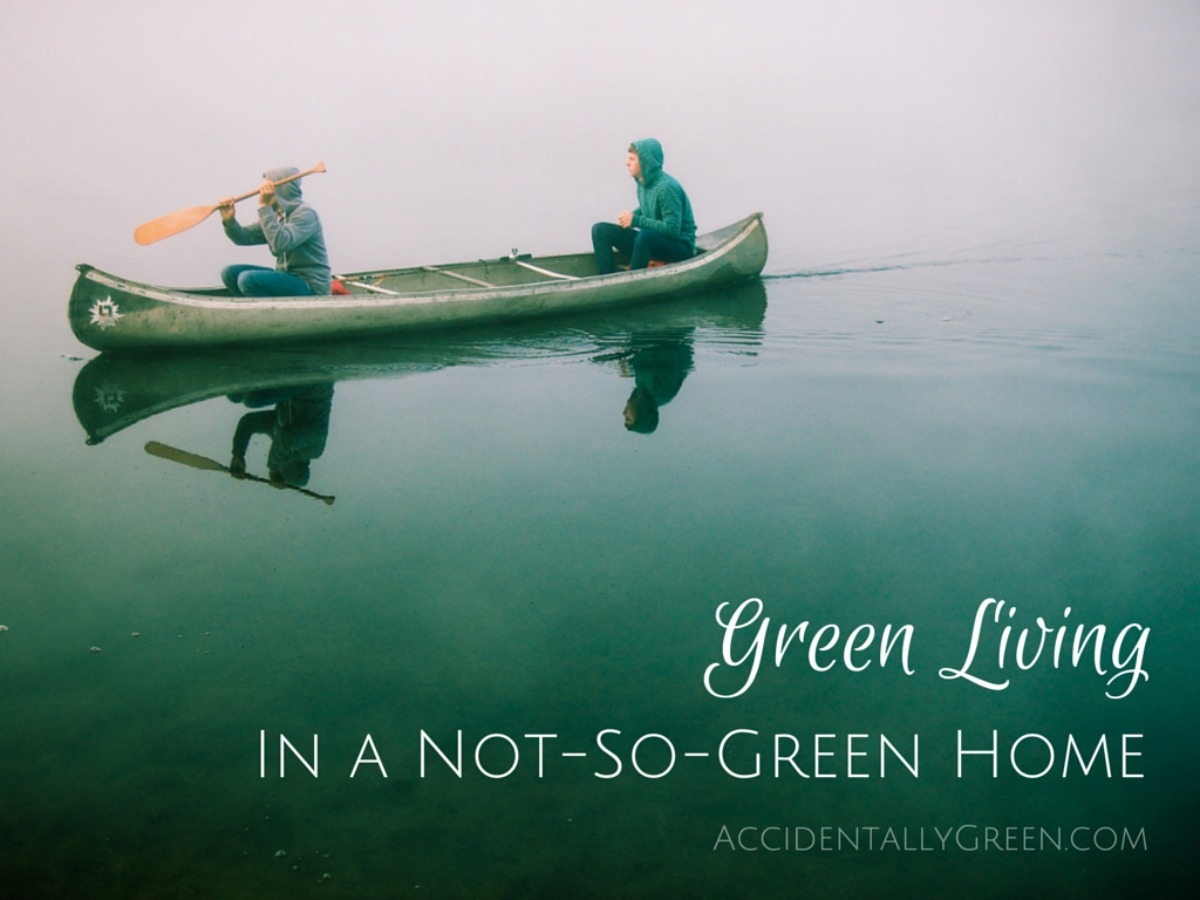 Is it possible to embrace green living in a not-so-green home? It can be tricky ... especially when not everyone in your home welcomes green living.