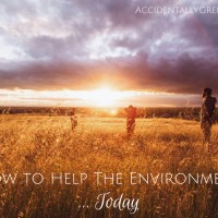 Today on Earth Day and on any other day of the year, the best way you can help the environment is to simply be mindful.
